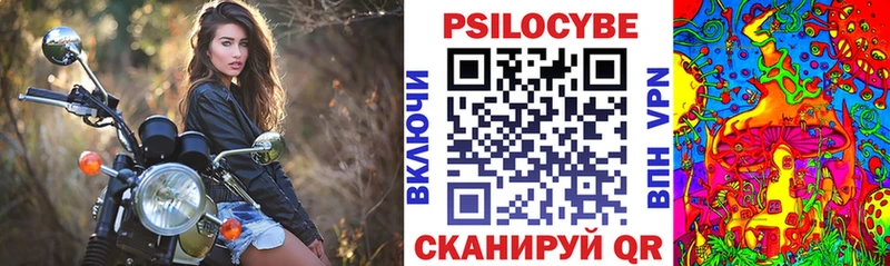 Псилоцибиновые грибы прущие грибы  цены наркотик  Куртамыш 